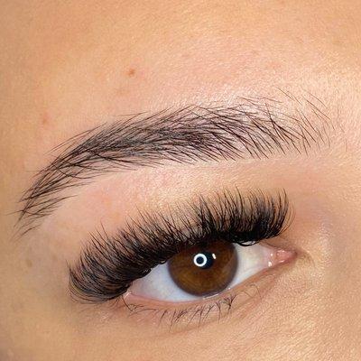 Brow Wax & Shape