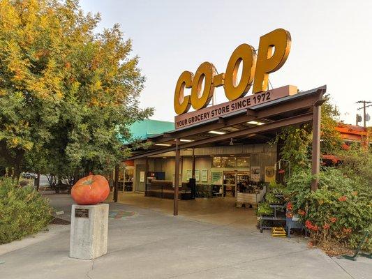 The iconic Co-op sign. Anyone can shop at the Co-op but becoming a Member-Owner has perks