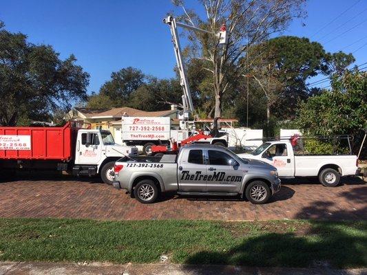 The Palms Tree Service, Inc.