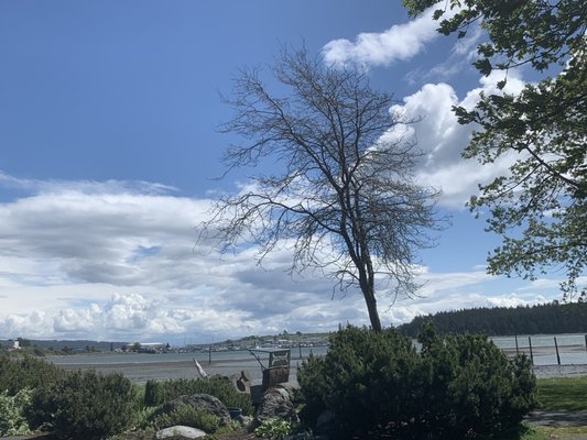 Our view over Flintstone Park looking down to the Oak Harbor Marina.