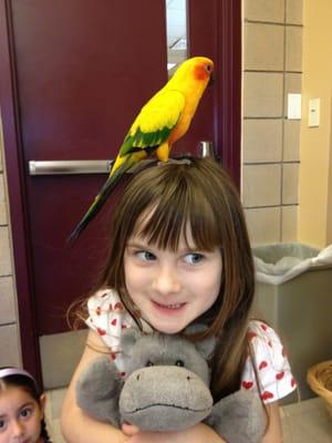 We were so lucky to have an in-class fieldtrip by the San Diego Bird Rescue!