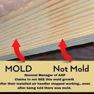 America's Home Place provides your home with a side of mold with their bad A/C components and deny clear smells and sighting of mold from it