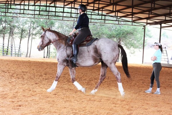 Me and Tempi getting to know one another at a clinic at CCSC!