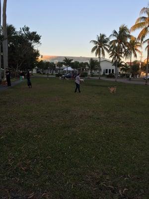 Dog park behind church