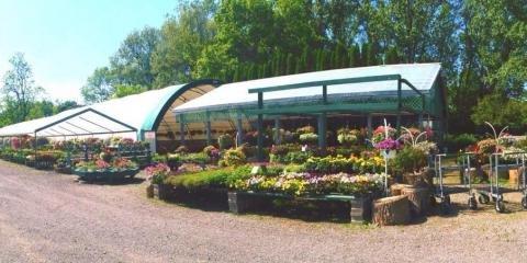 Shelter Creek Nursery & Garden Center