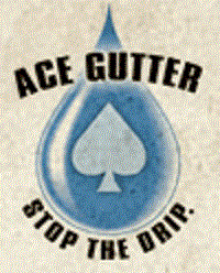 Ace Gutter