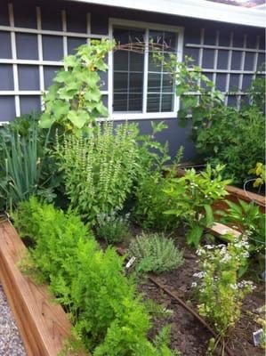 Raised vegetable beds