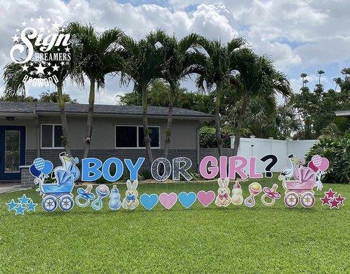 Gender Reveal