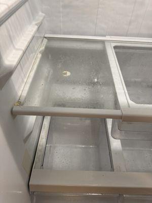 Nasty fridge