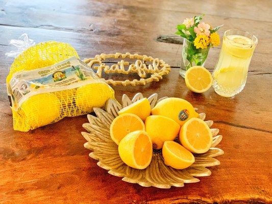 Lemons-the color of sunshine! #OrganicLemons #PatagoniaOrchards #EasyPeezyLemonSqueezy #HuggedByTheSun #KissedByTheSea #OrganicCitrus