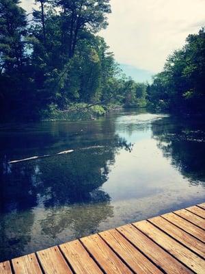 Enjoy a quiet paddle down Crystal River in your own kayak!