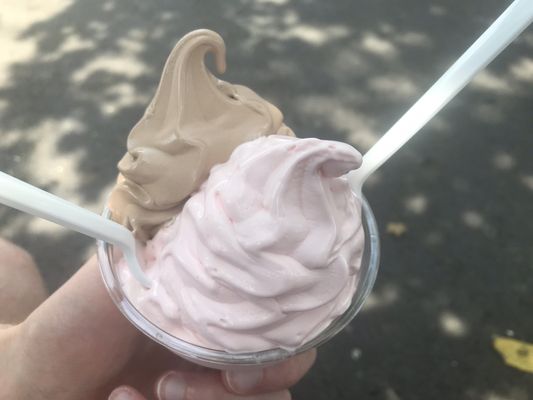 Small strawberry and chocolate soft serve ($3.05 with tax)