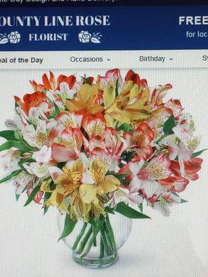 WHAT I ORDERED. Perfect Peruvian Lilies Deluxe ($71.95)