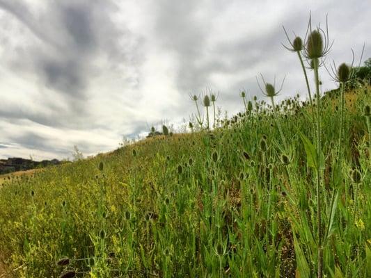 South Ogden Nature Park