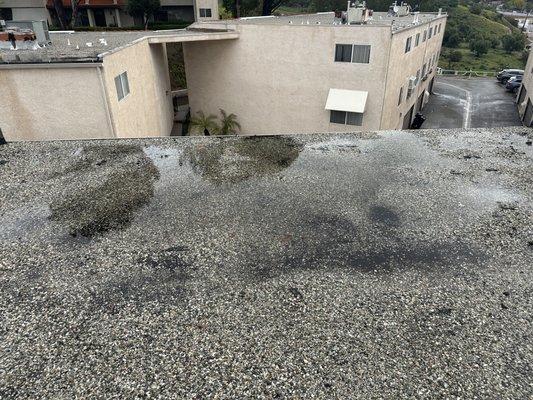 Pooling water on flat roof