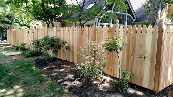 Wood Cedar Privacy Fence with French Gothic Pickets