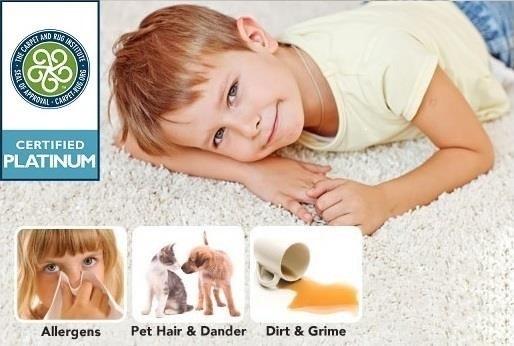 Relief from household allergies.  Reduce Pet & Dust Mite  allergens by 90 %