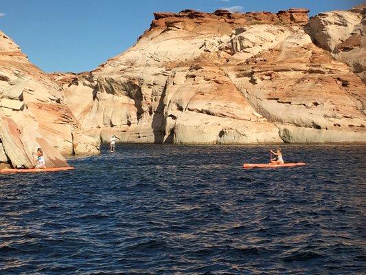 People kayaking in the water