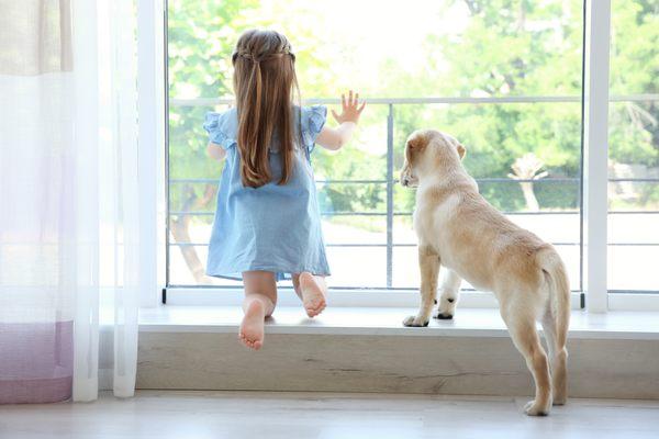 Replacement Patio Doors