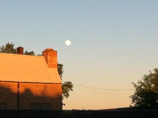 MOON OVER GARDEN