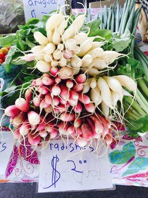 Organic radishes.  08/30/2017