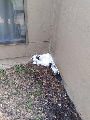 What they did to "fix" my leak. (This is literally just spray foam)