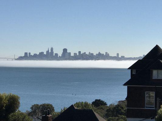 View of San Francisco from the Alta Mira deck