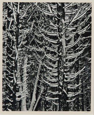 Ansel Adams photographic print.