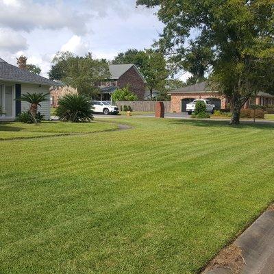 Derrick Gadsden’s Lawn Care And More