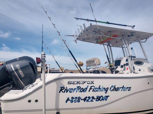 Grouper and Kingfish ready