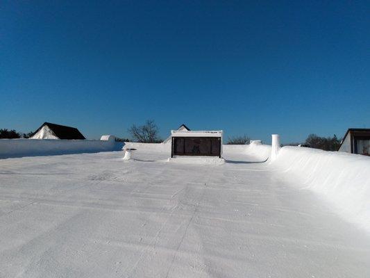 Be Cool Roof Coatings