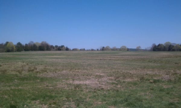 The field contains trails and overlooks part of Duxbury Bay.