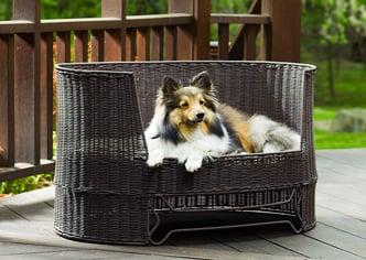 Wicker Dog Day Bed from The Refined Canine