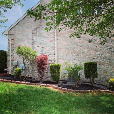 Hedge trimming and mulch job