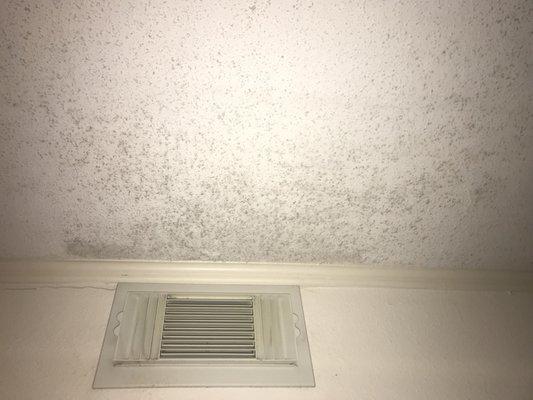 Mold or caked on dust