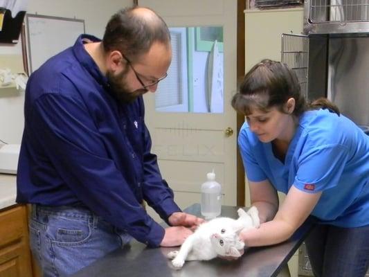 Dr Tuller and Trudy with Mystik taking blood for a combo test