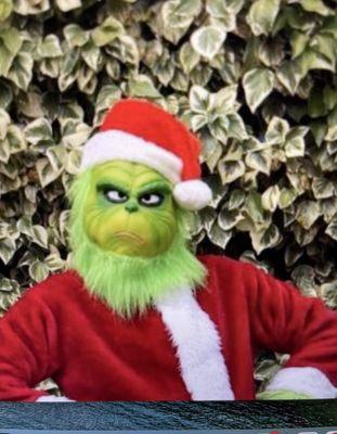 Grinch for hire