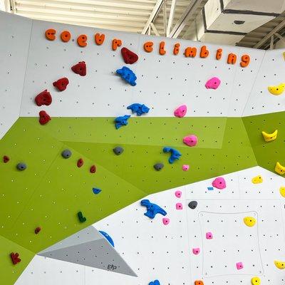 Kids climbing wall