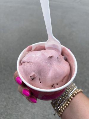 Polish Festival - Burgundy Cherry Ice Cream