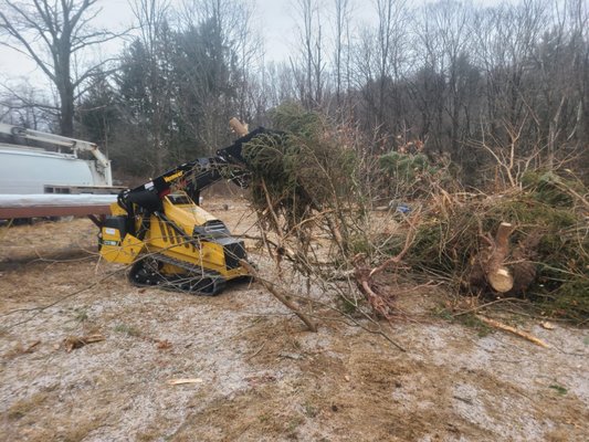 Tree removal service.