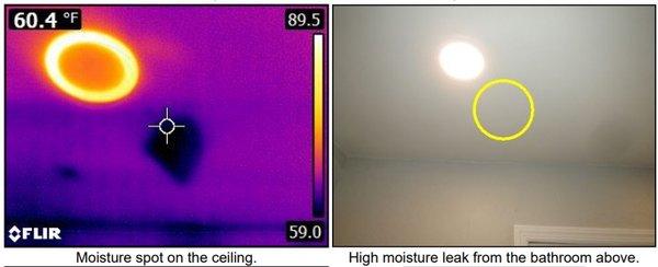 A thermal camera shows moisture from a plumbing leak on the ceiling not visible with the naked eye.