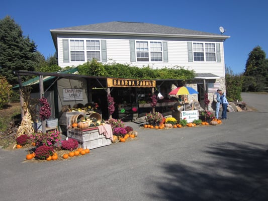 Produce Stand/Gift Shop