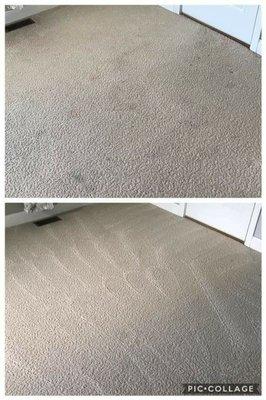 Every carpet... Everytime