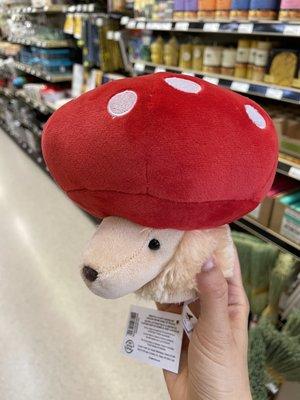 Mushroom dog doll