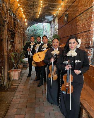 Mariachi Bohemio