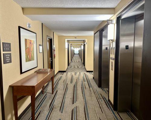 Hallway and elevators