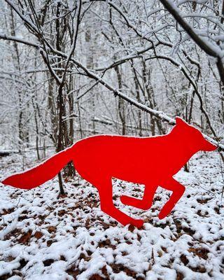 Sue Berkey - "The Red Coyote"

Location: Artpark Woods