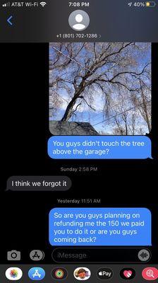 Supreme Tree Experts Utah