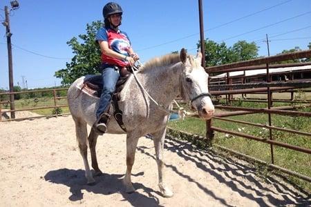 "Izzy" is our resident GrandHorse.  At 20 years old she can still show our students a thing or two.  At a nice slow pace that is