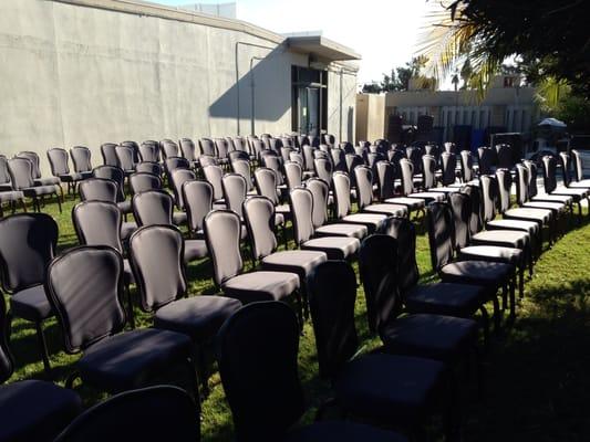 Banquet chairs upholstery cleaning